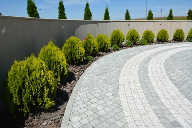 Best Residential Driveway Paver Services  in Orosi, CA